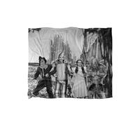 The Wizard Of Oz Officially Licensed Silky Touch Super Soft Throw Blanket 152 x 127 cm Warner Brothers White One Size