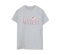 The Wizard of Oz Women's Wicked Good Witch Boyfriend T-Shirt in Grey | Size: 4XL The Wizard of Oz Grey 4XL