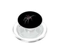 The Wolf Spider PopSockets PopGrip for MagSafe