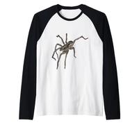 The Wolf Spider Raglan Baseball Tee