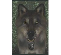 The Wolf Stone: Book 1 of the Wolf-Kin Chronicles