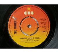 The Wombles - Remember You're A Womble