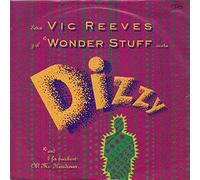 The Wonder Stuff - DIZZY 7 INCH (7" VINYL 45) UK ISLAND 1991