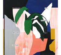 The Wooden Sky - Swimming In Strange Waters [VINYL]