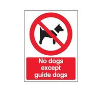 The Workplace Depot No Dogs Except Guide Dogs Safety Sign, 300 x 200 mm, PVC or Self-Adhesive Vinyl, Weatherproof, Indoor/Outdoor Sign for Offices, Shops & Hospitals (PVC (Rigid))