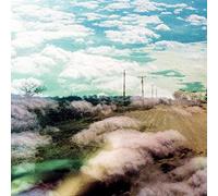 The World Is A Beautiful Place & I Am No Longer Afraid To Die - Always Foreign (Includes Download) [VINYL]