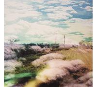 The World Is a Beautiful Place & I Am No Longer Afraid to Die - Always Foreign [VINYL]