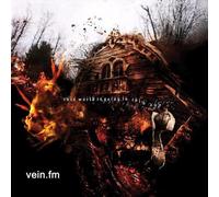 The World Is Going To Ruin You - Vein.Fm Vinyl