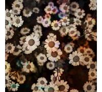 The World Is Still Chaos, But I Feel Better (LP) [VINYL]