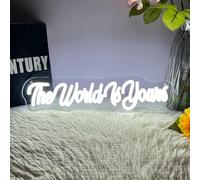 The World Is Yours Neon Sign Cold White,USB Powered,Three Adjustable Brightness,The World Is Yours LED Neon Light for Bedroom Wall Art for Classroom Living Room Home Bar Light up sign for Man Cave