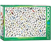 The World of Birds