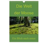 The world of mosses. A look down UK-Version (Wall Calendar 2026 DIN A4 Portrait), CALVENDO 12 Month Wall Calendar