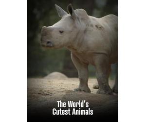 The World's Cutest Animals