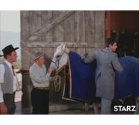 The World's Greatest Swimming Horse