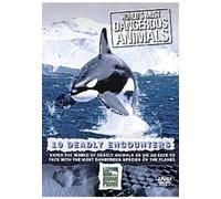 The World's Most Dangerous Animals: Deadly Encounters [DVD]