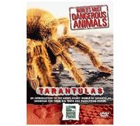 The World's Most Dangerous Animals: Tarantulas [DVD]