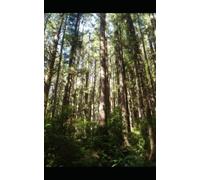 The Writers' Group (The Caroline Worde Mysteries)