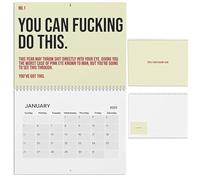 The Year of Your Fucking Year Calendar, Your Kick-Ass Motivational Calendar 2025, Funny Daily Motivational Planning Note Pads, Planner Note Pads for Home Office (1PCS)