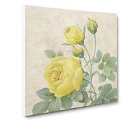 The Yellow Roses by Pierre Joseph Redoute Canvas Print | Gallery Wrapped 30mm Frame Wall Art | 14x14 inches | Ready to Hang | Retro Floral Picture | Living Room Bedroom Lounge Office