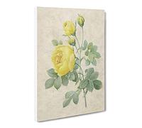 The Yellow Roses By Pierre Joseph Redoute Canvas Print | Gallery Wrapped 30mm Frame Wall Art | 20x14 inches | Ready to Hang | Retro Floral Picture | Living Room Bedroom Lounge Office