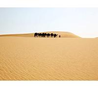 The Yellow Sahara