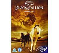 The Young Black Stallion [DVD]