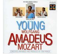 The Young Wolfgang Amadeus Mozart