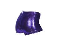 The Zone Chic Shiny Nylon Lycra Hipster Gymnastics Shorts 28 Sugar Plum