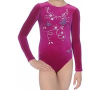 The Zone Panache Butterfly Motif Long Sleeve Gymnastics Leotard 26 Cerise