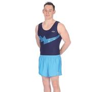The Zone Z121S Boys' & Men's Shiny Nylon/Lycra Shorts Kingfisher Size 28"
