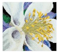 Thea Gouverneur Columbine On Aida Cross Stitch Kit-6-inch x 5.5-inch 18 Count, Fabric, 493A White