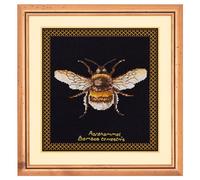 Thea Gouverneur - Counted Cross Stitch Kit - Bumble Bee - Aida Black - 16 Count - Embroidery Kit for Adults - DMC Embroidery Threads and Other Cross Stitch Supplies Included - 3018.05