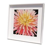 Thea Gouverneur - Counted Cross Stitch Kit - Dahlia - Aida Black - 18 Count - Embroidery Kit for Adults - DMC Embroidery Threads and Other Cross Stitch Supplies Included - 441.05