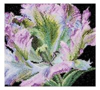 Thea Gouverneur - Counted Cross Stitch Kit - Embroidery Kit - 494A - Pre-Sorted DMC Threads - Tulip - Aida - 5.9 x 5.5inch - DIY Kit