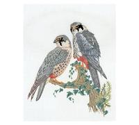 Thea Gouverneur - Counted Cross Stitch Kit - Falcons - Aida - 16 Count - Embroidery Kit for Adults - DMC Embroidery Threads and Other Cross Stitch Supplies Included - 2024A