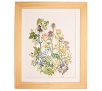 Thea Gouverneur - Counted Cross Stitch Kit - Herbs - Aida - 18 count - Embroidery Kits for Adults - Crafts - DMC Embroidery Threads and other Cross Stitch Supplies Included - 424A