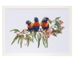 Thea Gouverneur - Counted Cross Stitch Kit - Lorrikeets - Aida - 16 Count - Embroidery Kit for Adults - DMC Embroidery Threads and Other Cross Stitch Supplies Included - 553A