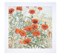 Thea Gouverneur - Counted Cross Stitch Kit - Orange Poppies - Aida - 16 Count - Embroidery Kit for Adults - DMC Embroidery Threads and Other Cross Stitch Supplies Included - 2062A