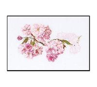 Thea Gouverneur - Counted Cross Stitch Kit - Prunus - Aida - 18 Count - Embroidery Kit for Adults - DMC Embroidery Threads and Other Cross Stitch Supplies Included - 512A