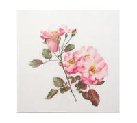 Thea Gouverneur - Counted Cross Stitch Kit - Rosa Leersum - Linen - 36 Count - Embroidery Kit for Adults - DMC Embroidery Threads and Other Cross Stitch Supplies Included - 412