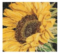 Thea Gouverneur - Counted Cross Stitch Kit - Sunflower - Aida 18 488A