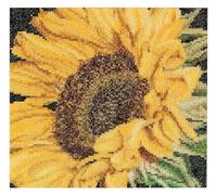 Thea Gouverneur - Counted Cross Stitch Kit - Sunflower - Aida - 18 Count - Embroidery Kit for Adults - DMC Embroidery Threads and Other Cross Stitch Supplies Included - 488A