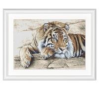 Thea Gouverneur - Counted Cross Stitch Kit - Tiger - Aida - 14 Count - Embroidery Kit for Adults - DMC Embroidery Threads and Other Cross Stitch Supplies Included - 579A
