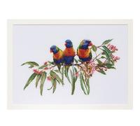 Thea Gouverneur Cross Stitch 16 Count Kit 553 Lorikeets 52 x 36 cm