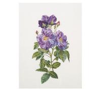 Thea Gouverneur Cross Stitch Kit, Blue, 44x32cm