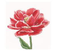 Thea Gouverneur Red/White Edged Early Double Tulip, Fabric, Multi-Colour, 2 x 21 x 30 cm