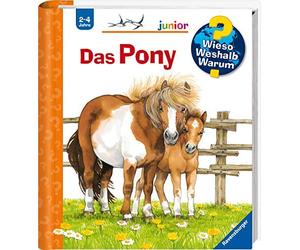 Thea Roß Das Pony (Spiral Bound)