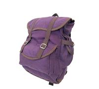 thecostumebase DORA EXPLORER BACKPACK BAG movie knapsack lost city of gold purple