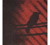 Thee Silver Mt. Zion Memorial Orchestra : Born Into Trouble As the Sparks Fly