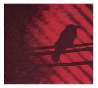 Thee Silver Mt Zion Memorial Orchestra - Born Into Trouble As The Sparks Fly Upward [VINYL]